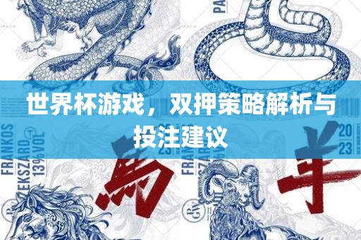 世界杯游戏，双押策略解析与投注建议
