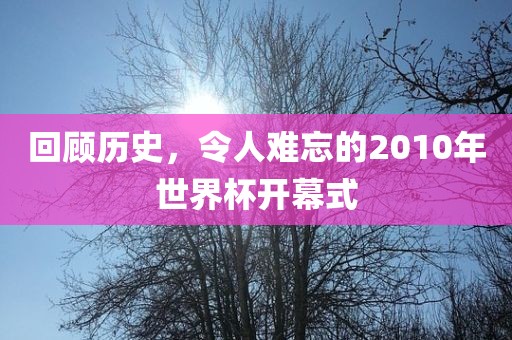 回顾历史，令人难忘的2010年世界杯开幕式广西贺州市华昌新材料有限公司