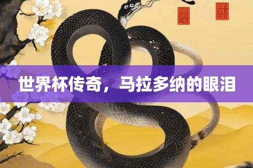 世界杯传奇，马拉多纳的眼泪