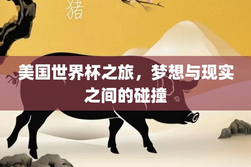 美国世界杯之旅，梦想与现实之间的碰撞