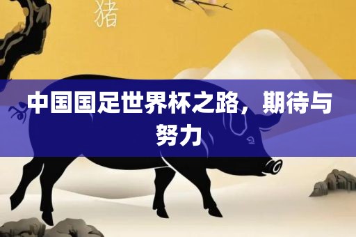 中国国足世界杯之路，期待与努力