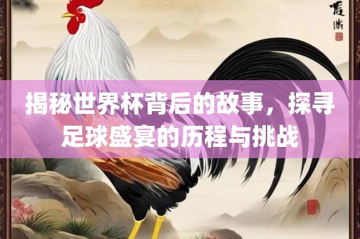 揭秘世界杯背后的故事，探寻足球盛宴的历程与挑战广西贺州市华昌新材料有限公司