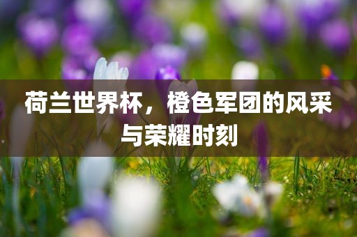 荷兰世界杯，橙色军团的风采与荣耀时刻
