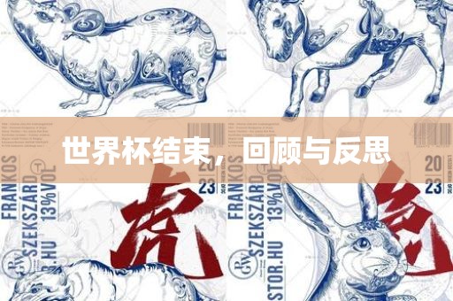 世界杯结束，回顾与反思