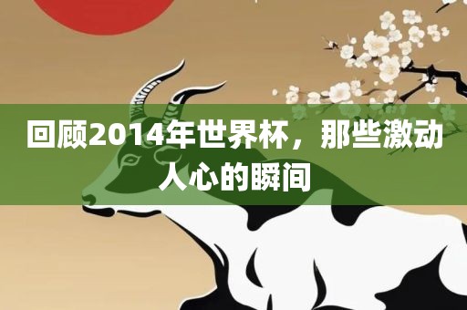 回顾2014年世界杯，那些激动人心的瞬间广西贺州市华昌新材料有限公司