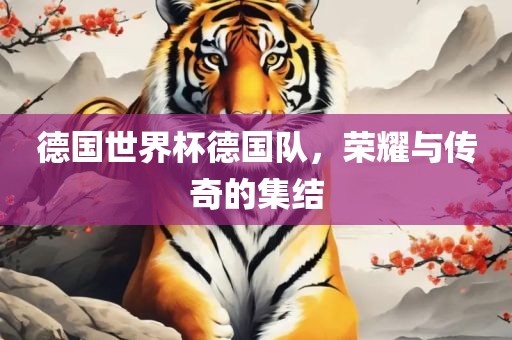 德国世界杯德国队，荣耀与传奇的集结