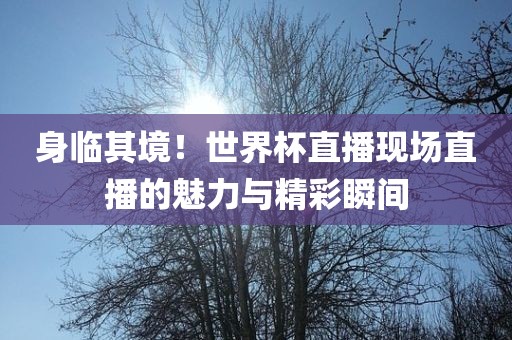 身临其境！世界杯直播现场直播的魅力与精彩瞬间