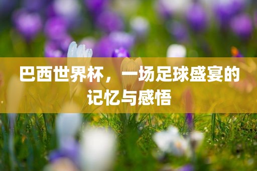 巴西世界杯，一场足球盛宴的记忆与感悟