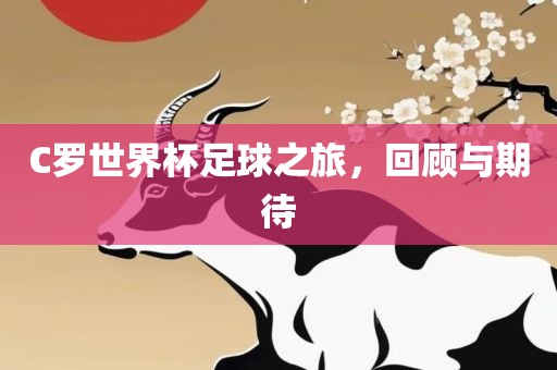 C罗世界杯足球之旅，回顾与期待