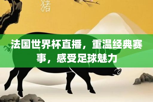 法国世界杯直播，重温经典赛事，感受足球魅力