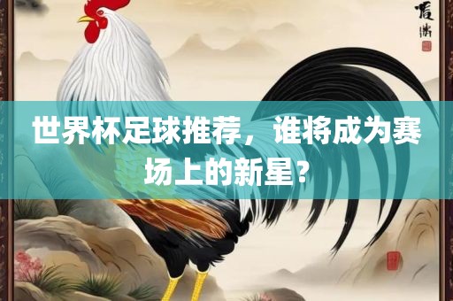 世界杯足球推荐，谁将成为赛场上的新星？