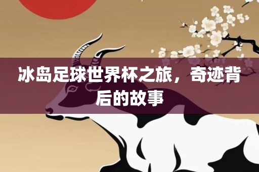冰岛足球世界杯之旅，奇迹背后的故事