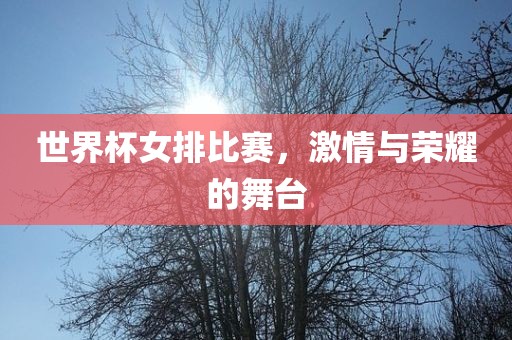 世界杯女排比赛，激情与荣耀的舞台