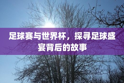 足球赛与世界杯，探寻足球盛宴背后的故事