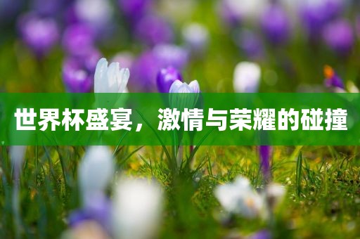 世界杯盛宴，激情与荣耀的碰撞