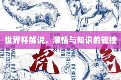 世界杯解说，激情与知识的碰撞