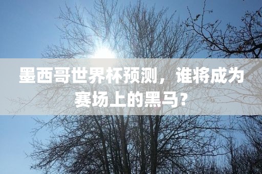 墨西哥世界杯预测，谁将成为赛场上的黑马？