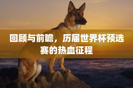 回顾与前瞻，历届世界杯预选赛的热血征程