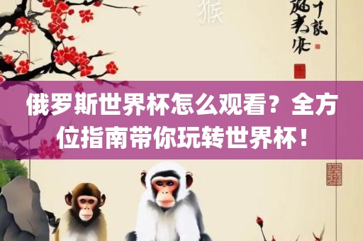 俄罗斯世界杯怎么观看？全方位指南带你玩转世界杯！