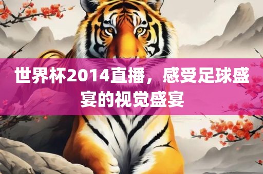 世界杯2014直播，感受足球盛宴的视觉盛宴