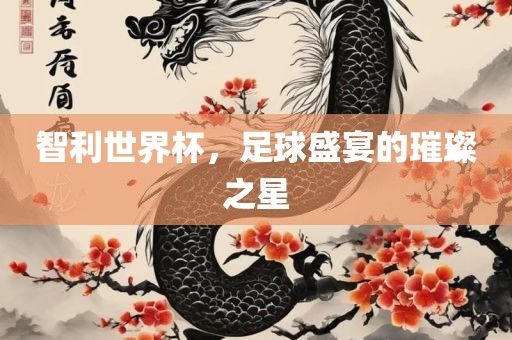 智利世界杯，足球盛宴的璀璨之星