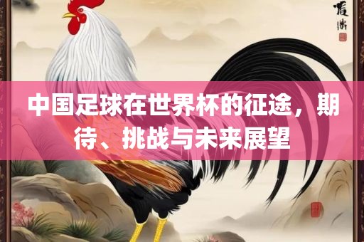中国足球在世界杯的征途，期待、挑战与未来展望