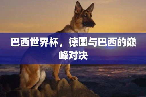 巴西世界杯，德国与巴西的巅峰对决广西贺州市华昌新材料有限公司