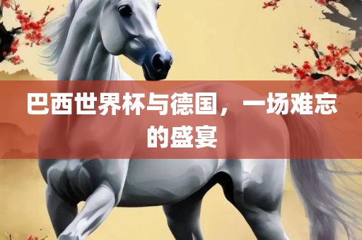 巴西世界杯与德国，一场难忘的盛宴
