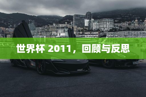 世界杯 2011，回顾与反思