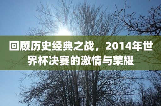 回顾历史经典之战，2014年世界杯决赛的激情与荣耀