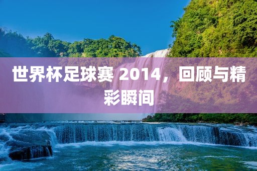 世界杯足球赛 2014，回顾与精彩瞬间