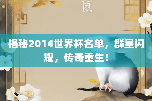 揭秘2014世界杯名单，群星闪耀，传奇重生！