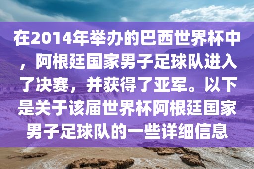 在2014年举办的巴西世界杯中，阿根廷国家男子足球队进入了决赛，并获得了亚军。以下是关于该届世界杯阿根廷国家男子足球队的一些详细信息