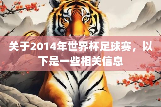 关于2014年世界杯足球赛，以下是一些相关信息
