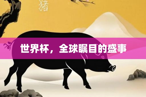 世界杯，全球瞩目的盛事