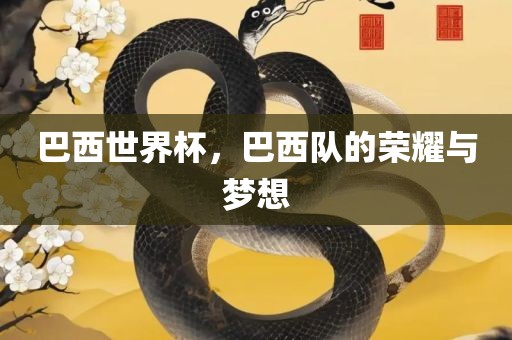 巴西世界杯，巴西队的荣耀与梦想
