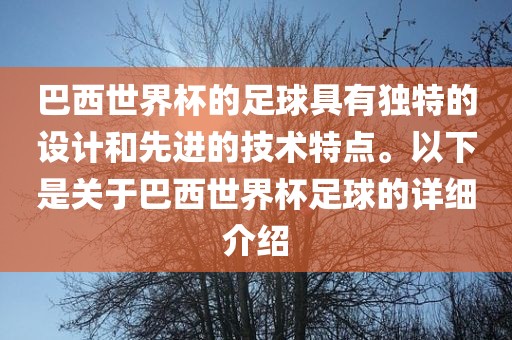 巴西世界杯的足球具有独特的设计和先进的技术特点。以下是关于巴西世界杯足球的详细介绍