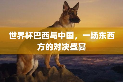 世界杯巴西与中国，一场东西方的对决盛宴