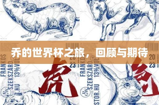 乔的世界杯之旅，回顾与期待广西贺州市华昌新材料有限公司