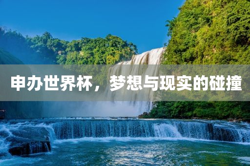 申办世界杯，梦想与现实的碰撞