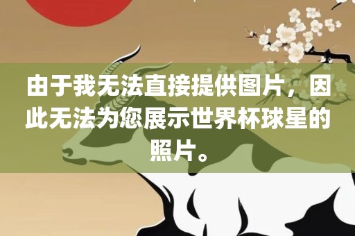 由于我无法直接提供图片，因此无法为您展示世界杯球星的照片。