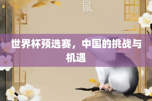 世界杯预选赛，中国的挑战与机遇