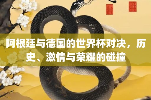 阿根廷与德国的世界杯对决，历史、激情与荣耀的碰撞