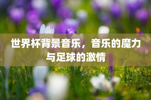 世界杯背景音乐，音乐的魔力与足球的激情