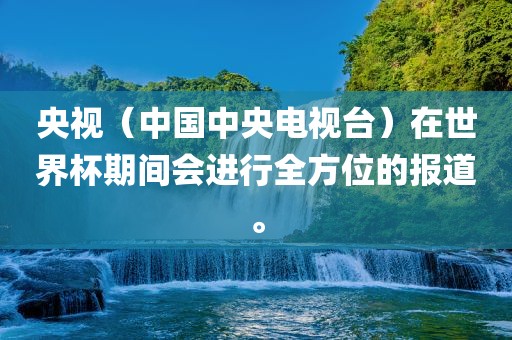 央视（中国中央电视台）在世界杯期间会进行全方位的报道。