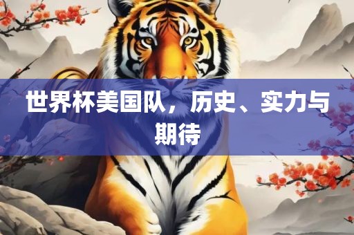 世界杯美国队，历史、实力与期待