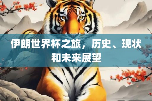伊朗世界杯之旅，历史、现状和未来展望