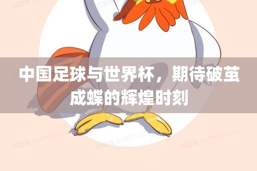 中国足球与世界杯，期待破茧成蝶的辉煌时刻