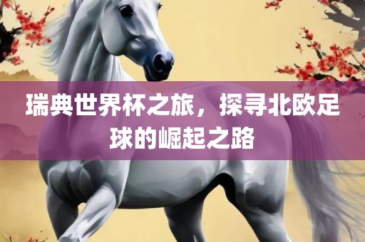 瑞典世界杯之旅，探寻北欧足球的崛起之路
