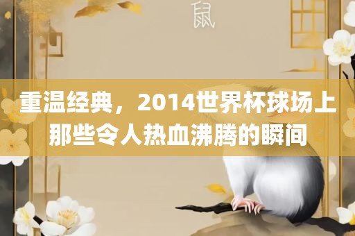 重温经典，2014世界杯球场上那些令人热血沸腾的瞬间